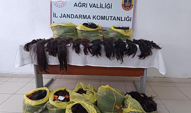 Ağrı'da 397 adet insan saçı ele geçirildi