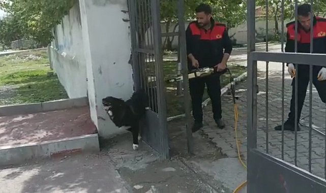 Ağrı'da demir kapıya sıkışan köpeği itfaiye kurtardı