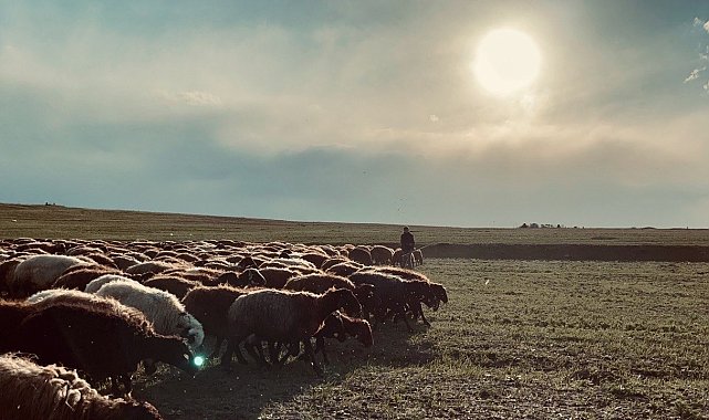 Ağrı'da gün batımı göz kamaştırdı