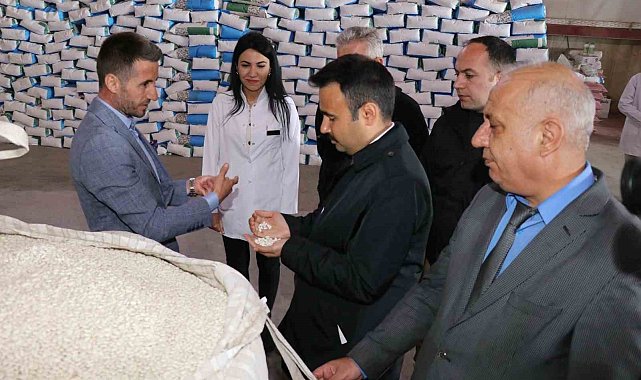 Ahlat kuru fasulye üretiminde merkez olma yolunda