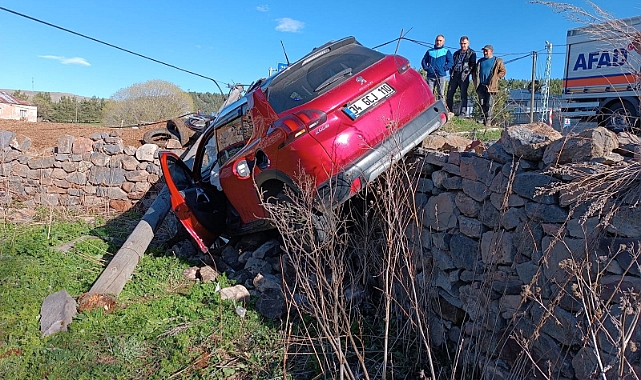Ardahan'da devrilen otomobilin sürücüsü yaralandı