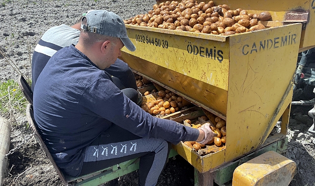 Ardahan'ın atıl arazilerinde desteklerle patates ve kavılca yetişecek
