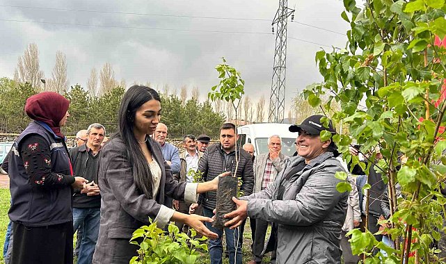 Ardahan'da arı yetiştiricilerine fidan verildi