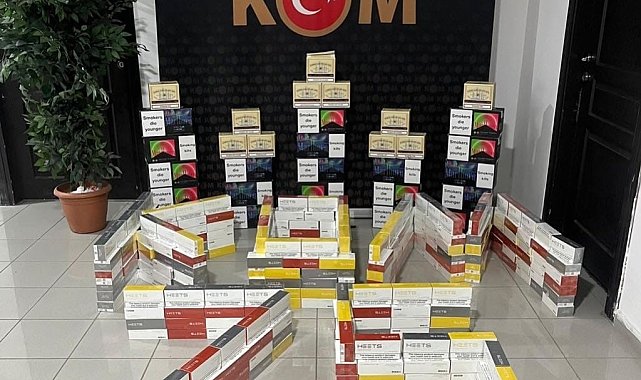 Ardahan'da kaçakçılık operasyonunda 2 kişi yakalandı