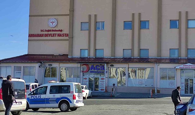Ardahan'da yıldırımın isabet ettiği genç hayatını kaybetti