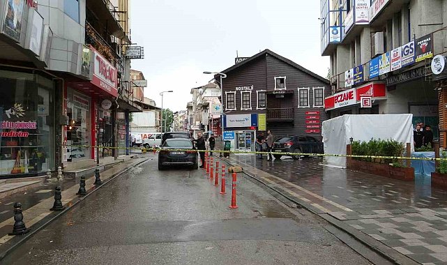Arıza için çıktığı telefon direğinden düştü