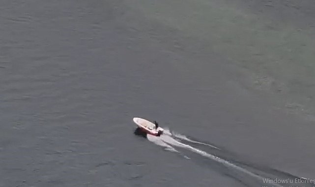 Baraj gölünde mahsur kalan köpekleri vatandaş kurtardı