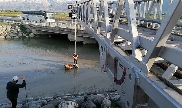 Bataklığa saplanan ineği itfaiye kurtardı