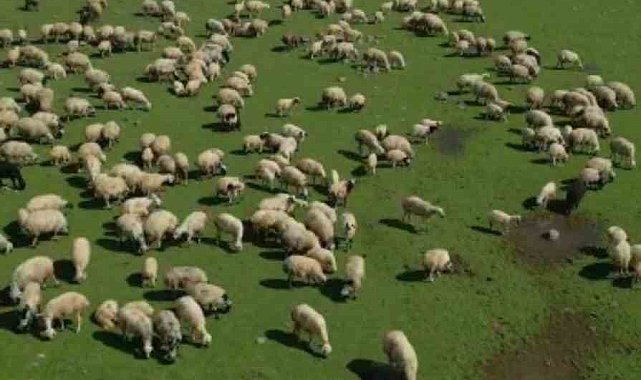 Bingöl'de bahar manzaraları dron ile görüntülendi