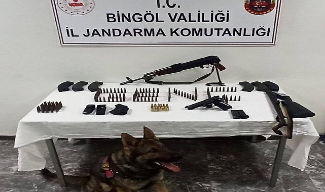 Bingöl'de durdurulan bir araç içinde silahlar ele geçirildi