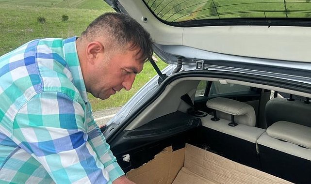 Bingöl'de polis tarafından yaralı bulunan kaplumbağa tedavi altına alındı