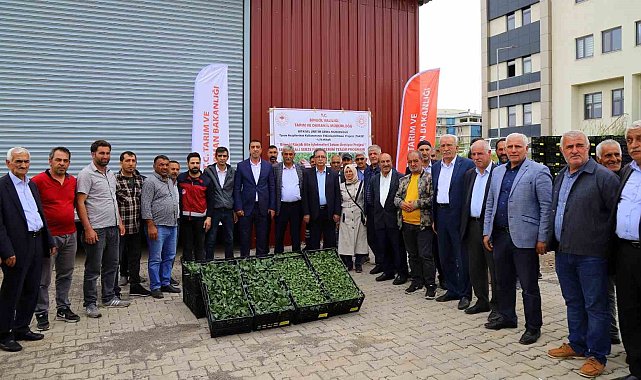 Bingöl'de yüzde 75 hibe ile 630 bin sebze fidesi dağıtıldı