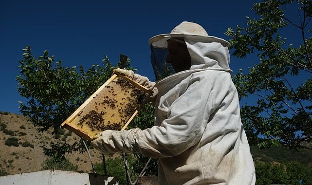 Çayırlı'da arıcılara devlet desteği