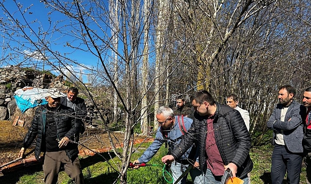 Çiftçilere budama eğitimi verildi