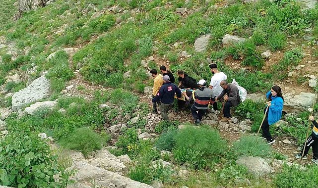 Dağda rahatsızlanan vatandaş ambulans helikopterle kurtarıldı