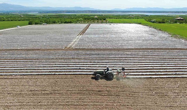 Deprem tarımı da vurdu, mevsimlik işçi bulunamıyor