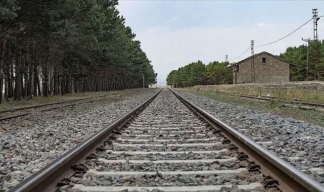 Devlet Demiryolları, otla mücadele kapsamında ilaçlama yapılacak