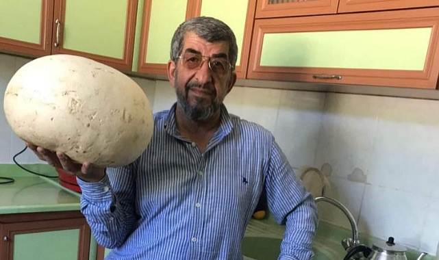 Doğada gezintiye çıkan köylüler 4 kiloluk dev mantar buldu