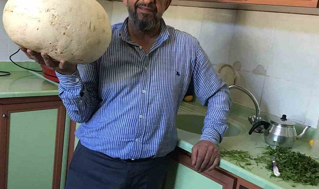 Doğada gezintiye çıkan köylüler 4 kiloluk dev mantar buldu