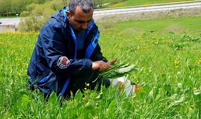 Doğadan sofralara gelen lezzetler