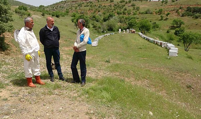 Elazığ Arı Yetiştiricileri Birliği Başkanı Canbay: "Ekolojik dengede en önemli unsur arıdır"