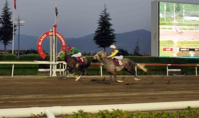 Elazığ Jandarma Koşusu'nu Göbeklitepe Ağası kazandı