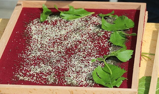 Elazığ'da eğitimi tamamlayan 25 üreticiye 90 kutu ipek böceği larvası dağıtıldı