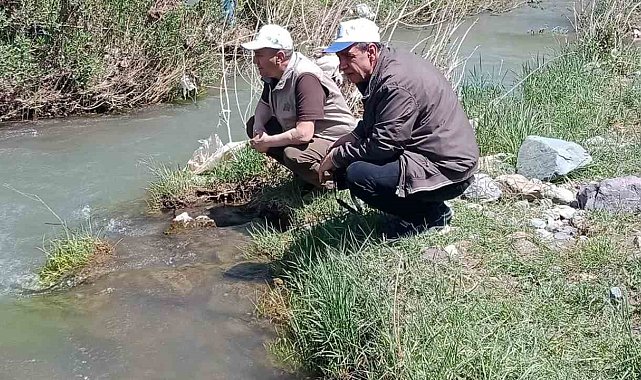Elazığ'da Hazar İnci ve Siraz Balığı izleme çalışması yapıldı