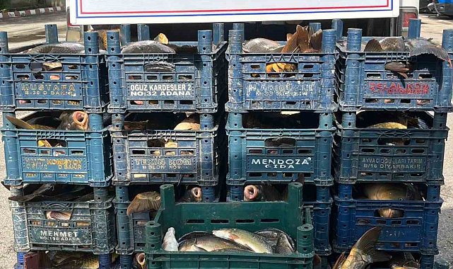Elazığ'da kaçak avlanan 1 ton 400 kilo balık ele geçirildi
