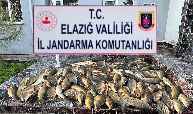 Elazığ'da kaçak balık avı yapan 3 şahsa, 49 bin lira ceza