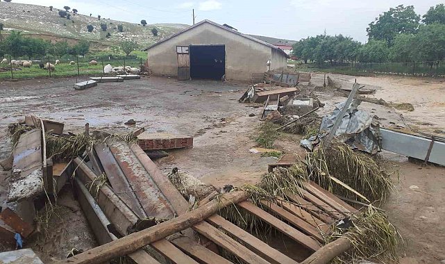 Elazığ'da sağanak yağış hayatı felç etti, 105 hayvan telef oldu