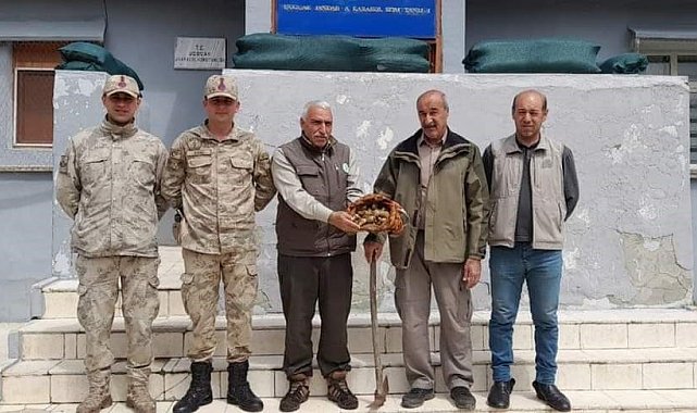 Elazığ'da salep soğanı toplayan 2 kişiye 220 bin lira para cezası
