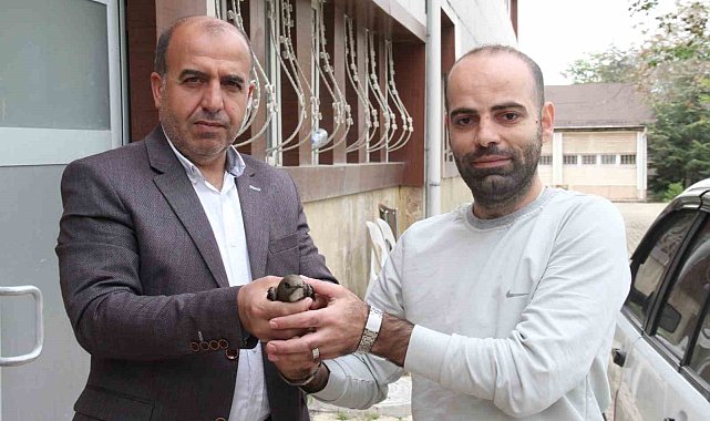 Elazığ'da vatandaşın bulduğu ebabil kuşu, koruma altına alındı