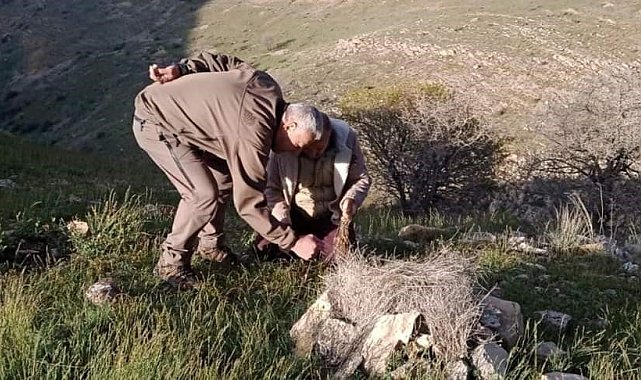 Elazığ'da yasa dışı avcılık yapan 1 kişiye idari işlem uygulandı