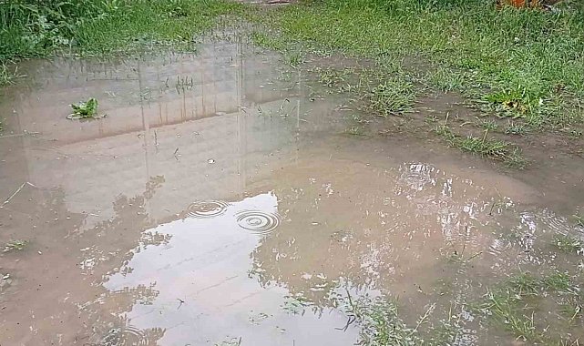Erciş'te yağmur etkili oldu