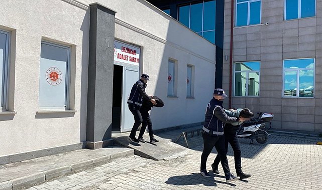 Erzincan'da 2 kaçak göçmen yakalandı, 2 kişi tutuklandı