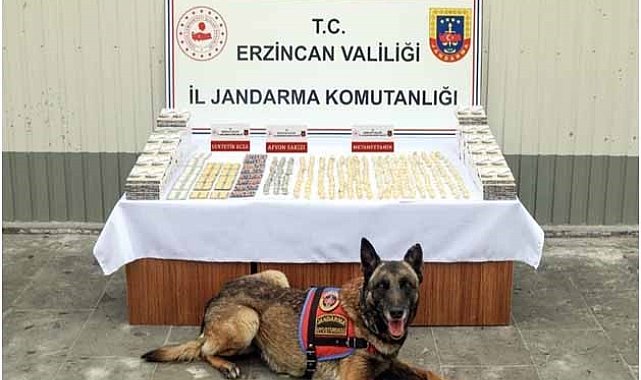 Erzincan'da jandarma ekiplerince 11 faili meçhul olayın 10'u aydınlatıldı
