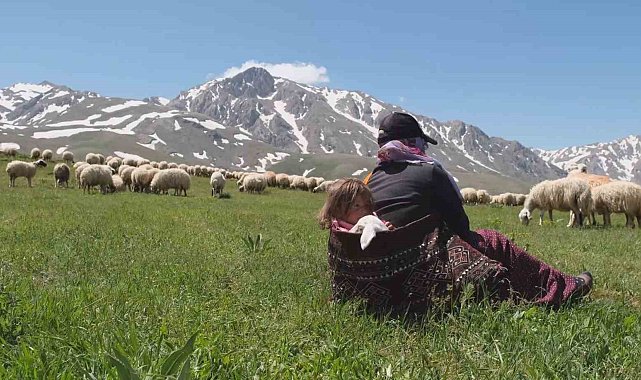 Erzincan'da meralar küçükbaş hayvanlarla şenlendi