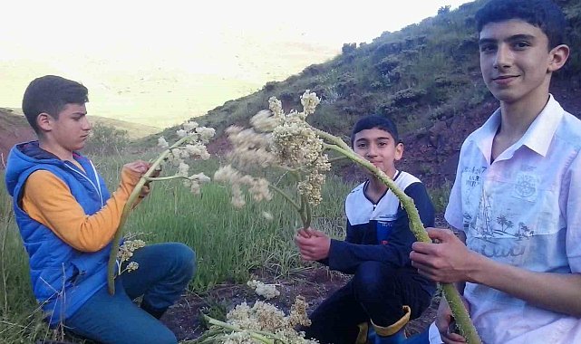 Eşgin tezgâhlara çıktı, demeti 30 lira