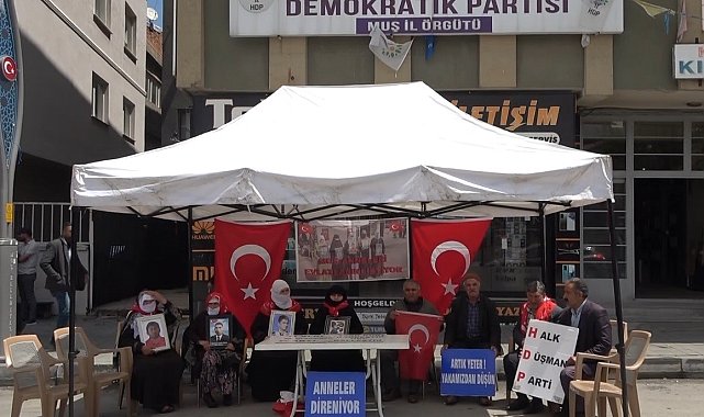 Evladı dağa kaçırılan anne: "Demirtaş'ı cezaevinden çıkaracaklardı. Şimdi çıkarsınlar da görelim"