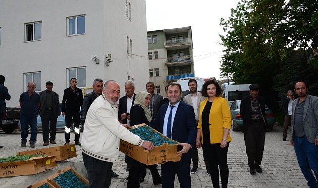 Hakkari'de çiftçilere karpuz ve domates fidesi dağıtıldı