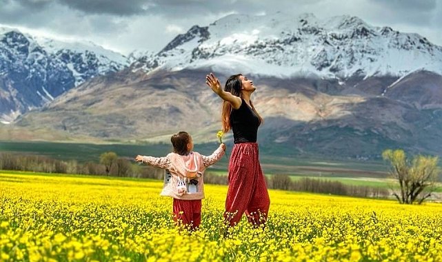 Hardal çiçekleri Tunceli'yi sarıya boyadı, ortaya eşsiz manzaralar çıktı