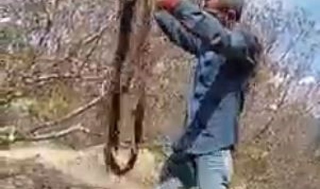 İçme suyu borusundan metrelerce ağaç kökü çıktı, görenler hayrete düştü