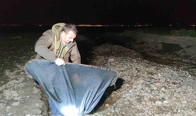 İnci kefali için gece denetimi