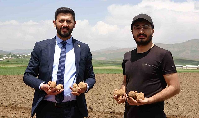 Irak'tan dönen genç iş adamı, Cilo Dağı eteklerinde 100 dönümlük alana patates ekimine başladı
