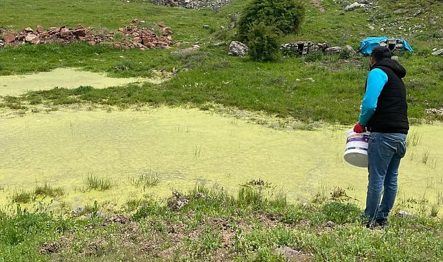 Karakoçan'da ilaçlama çalışmaları sürüyor