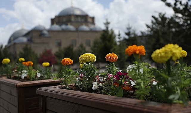 Kars'ta Park ve Bahçeler Çiçek Açtı