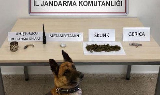 Kars'ta jandarmadan uyuşturucuya geçit yok
