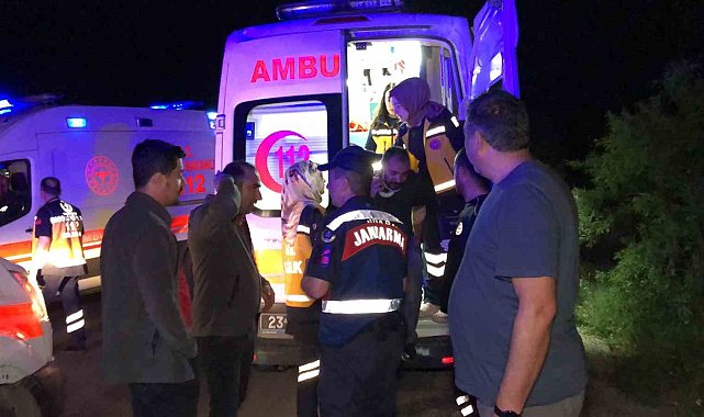 Köpeğe çarpan kamyonet şarampole uçtu: 4 yaralı