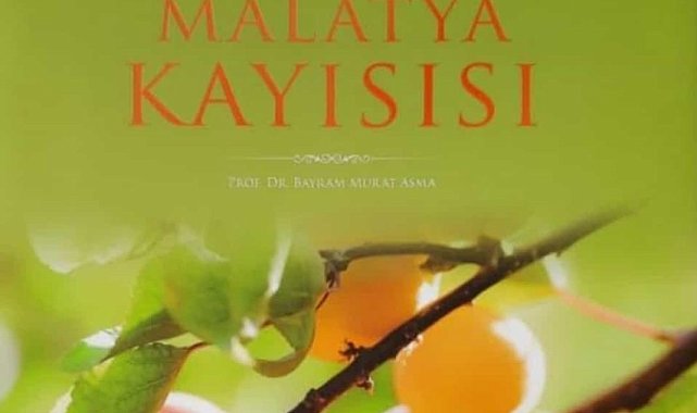 Malatya kayısı isimli kitap ödül getirdi